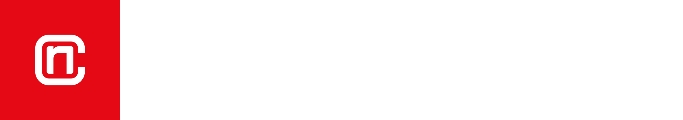 netconsult Logo